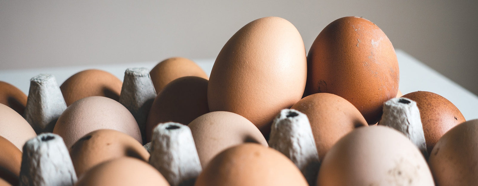 A carton of eggs.