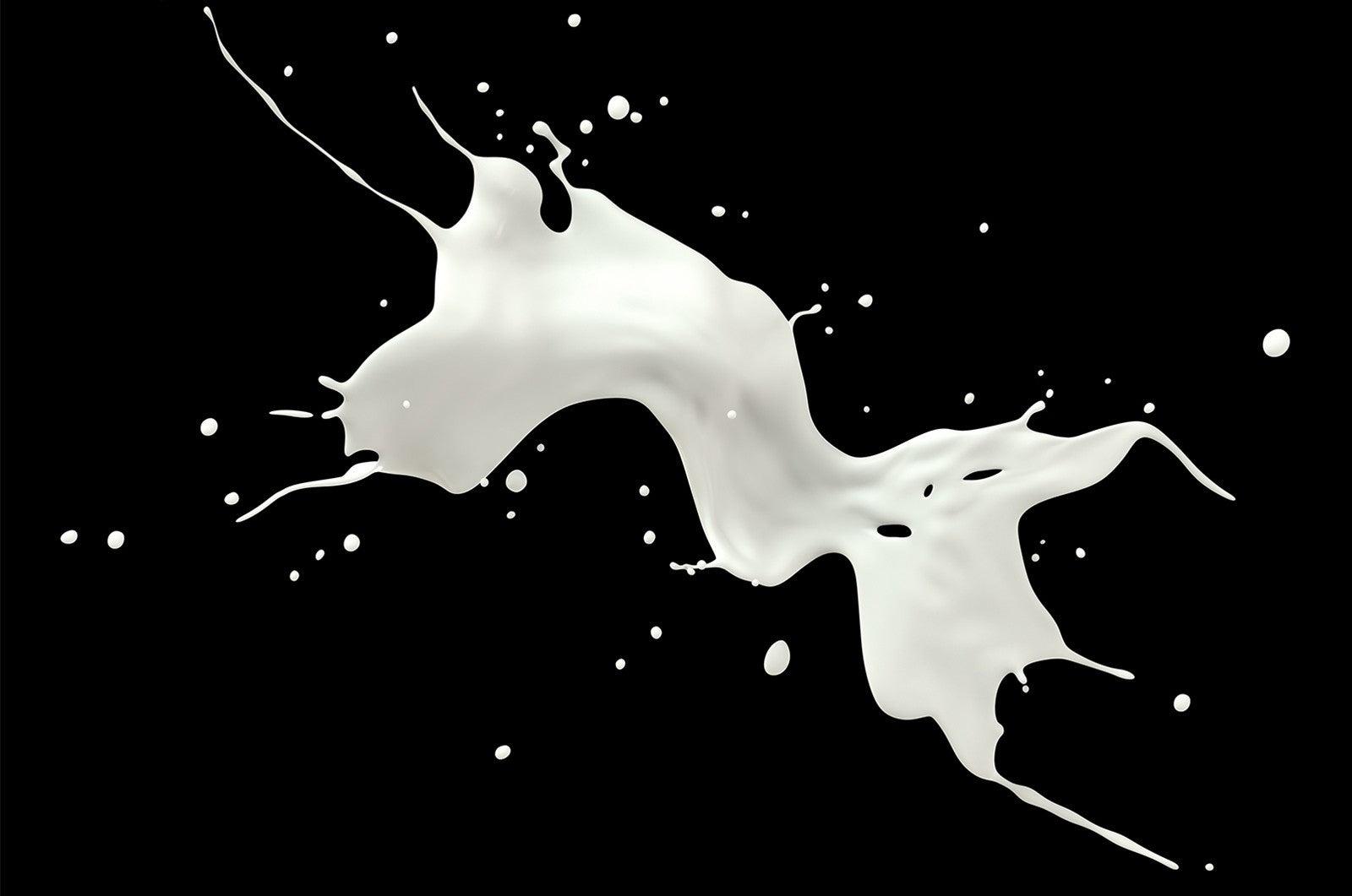 What's the difference between protein concentrates and isolates?